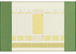 PRECISION Mapa birou 56 x 38cm verde kelly PRECISION Alicante (PR-10101043)