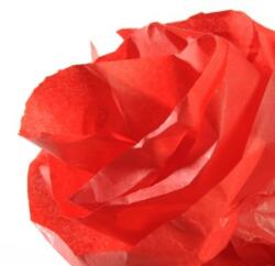 CANSON Hartie de matase CANSON 0, 5X5m, 18 g/mp, ROUGE VIF(ROSU APRINS) (992662)