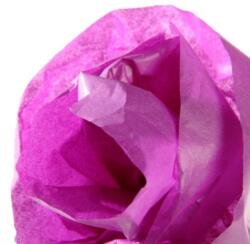 CANSON Hartie de matase CANSON 0, 5X5m, 18 g/mp, VIOLET (VIOLET) (992663)
