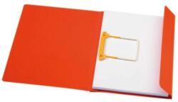 DJOIS Dosar carton color cu alonja arhivare de mare capacitate, DJOIS Secolor (DJ-310)