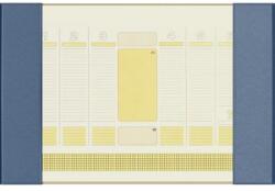 PRECISION Mapa birou 56 x 38cm albastra PRECISION Alicante (PR-10101054)