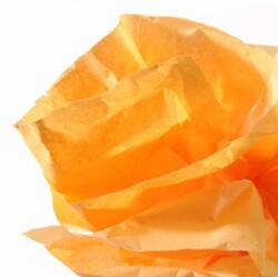 CANSON Hartie de matase CANSON 0, 5X5m, 18 g/mp, ORANGE(PORTOCALIU) (992661)