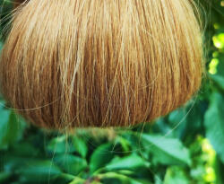  5B Karamell Barna KIFUTÓ TERMÉK (662085)