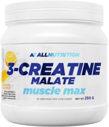 ALLNUTRITION 3-Creatine Malate Muscle Max, 250 Grams