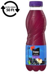 Cappy Üdítőital szénsavmentes CAPPY Ice Fruit Erdei gyümölcs 12% 0, 5L DRS (557804) - robbitairodaszer
