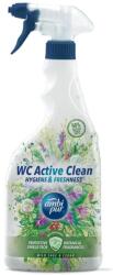 Ambi Pur WC Active spray vad zsálya és cédrus 750ml