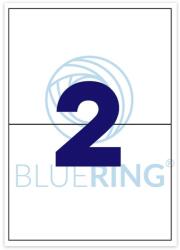 BLUERING Etikett címke, 210x148mm, 100 lap, 2 címke/lap Bluering® - nyomtassingyen