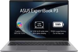 ASUS ExpertBook P3 PM3606CKA-PLR732X Notebook