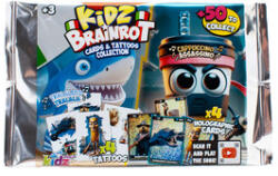  Brainrot holografikus kártyák, tetoválások vegyesen (K02BRO03)