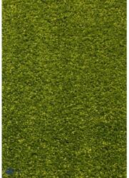 Delta Carpet Covor Dreptunghiular, 80 x 150 cm, Verde, Kolibri 11000/130 (KOLIBRI-11000-130-0815) Covor
