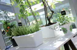  Respana Set Antracit Műanyag Balkonláda 49 cm (PPP-ISE500P-S433)