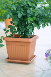  Terra Műanyag Virágtartó Alátét Terrakotta 41 cm (PPP-PKWT41-R624)