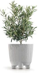  Ryfo N ECO Wood Környezetbarát Kaspó Fehér Bordázott DRF130NW-S449W (PPP-DRF130NW-S449W)