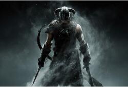  Elder Scrolls V Skyrim Poszter, 61x90cm, Többszínű (poster178-7777777777777785506)