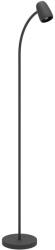 EGLO Carlo Eglo-902172 állólámpa (902172)