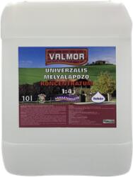 Festék Bázis Valmor vakolaterősítő mélyalapozó koncentrátum 1: 4 10 L (297)