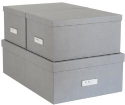 Bigso Box of Sweden set de cutii de depozitare Inge (3-pack) 99KK-DBU036_90X (811354141)