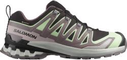Salomon Női outdoor cipő Salomon XA PRO 3D V9 GTX W barna L47882300 - EUR 38 2/3 | UK 5, 5 | US 7