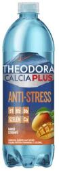 Theodora Ásványvíz szénsavas THEODORA Calcia Plus Anti stressz mangó-citromfű 0, 7 L DRS (C69332) - robbitairodaszer