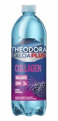 Theodora Ásványvíz szénsavas THEODORA Calcia Plus Collagen szeder-levendula 0, 7 L DRS (C69333) - robbitairodaszer