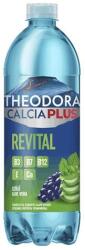 Theodora Ásványvíz szénsavas THEODORA Calcia Plus Revital szőlő-aloe vera 0, 7 L DRS (C69334) - robbitairodaszer