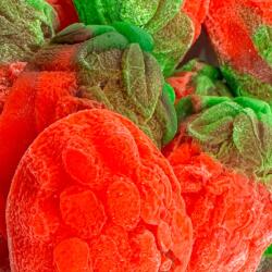 Vidal Töltött Vad Eper Gumicukor (100g)