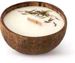 TROPIKALIA Forest Wood illatgyertya fa kanóccal 350 ml