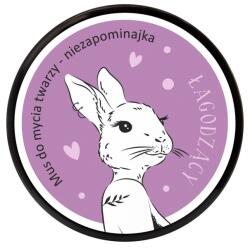 LaQ FLOARE DE NU-MA-UITA arcbőr tisztító hab. 40 g