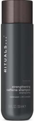 RITUALS Homme Hajsampon 250 ml