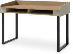  ALESSIO AE10 íróasztal - zöld (1000088136)