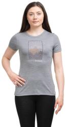 SMARTWOOL Túrapóló női Merino Sport 150 Alpine Start SS Graphic Tee Women szürke