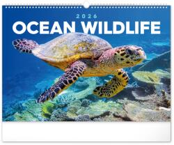 Realsystem Falinaptár képes 480×330mm Ocean Realsystem 2026 (6094-OC)