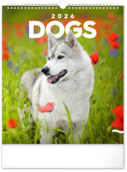 Realsystem Falinaptár képes 300x340mm Dogs Realsystem 2026 (6087-DO)