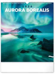 Realsystem Falinaptár képes 300x340mm Aurora Borealis Realsystem 2026 (6087-AB) - iroszer24