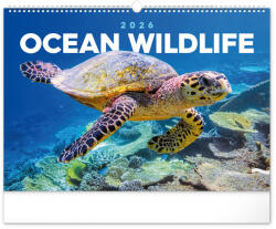 Realsystem Falinaptár képes 480×330mm Ocean Wildlife Realsystem 2026 (6094-OC) - iroszer24