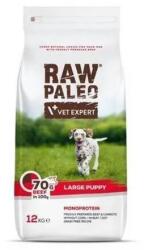 VetExpert Raw Paleo puppy large beef 12 kg