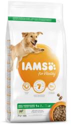 Iams Dog Adult Large Lamb 3kg