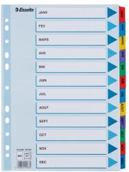 Esselte Index carton Esselte Mylar cu taste laminate A4 index Ianuarie-Decembrie (ESS100165)