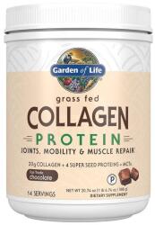 Garden of Life Grass Fed Collagen Protein, Chocolate - 588 grams