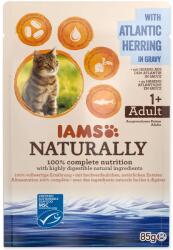 Iams Adult alutasak hering szószban 85g