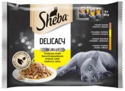 Mars SHEBA alutasak Baromfi válogatás zselében 4 x 85 g