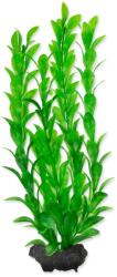 TETRA Dekoráció Tetra Növény Hygrophila M 23cm