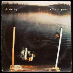 Jagjaguwar LP S. Carey: All We Grow DLX | CLR
