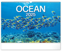 Realsystem Falinaptár képes 480×330mm Ocean Wildlife Realsystem 2026 (6094-OC) - iroda-ellatas
