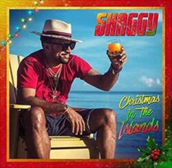 BMG 2LP Shaggy: Christmas In The Islands