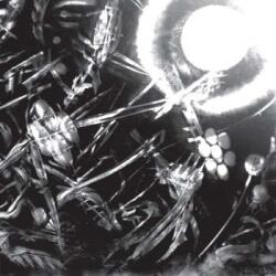 MEM 2LP The Bug: Machines Ltd