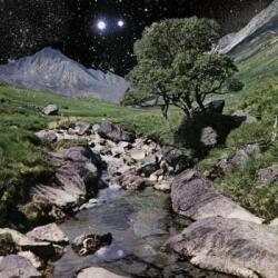 Because Music 3LP/2CD The Beta Band: The Beta Band DLX