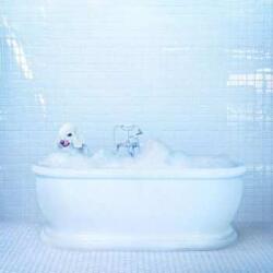 Sub Pop LP Frankie Cosmos: Vessel