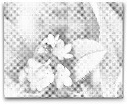  PontPöttyöző - Katica kék virágon Méret: 30x40cm, Keretezés: Keret nélkül (csak a vászon), Szín: Zöld