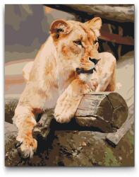  Festés számok szerint - Oroszlán Méret: 30x40cm, Keretezés: Kartonlemezen